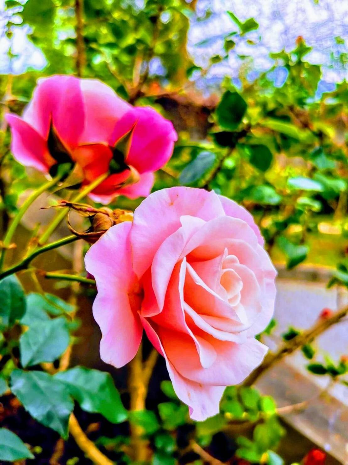 Sanyi Homestay エクステリア 写真